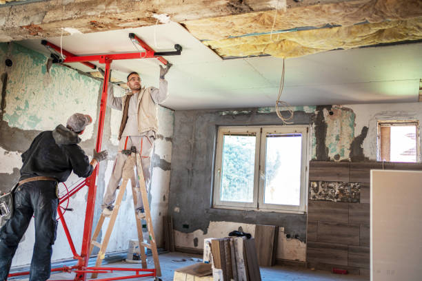 Best Eco-Friendly or Green Insulation Solutions  in Griswold, IA