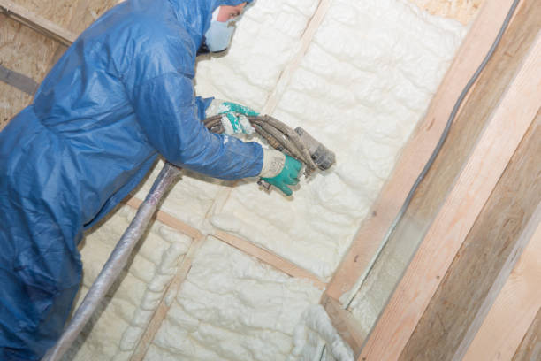 Best Insulation for New Construction  in Griswold, IA